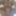 Closeups  #31