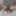 熟女女装弱虫ふしだらな女
