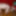 slave trailer (heavy Haulage) #10
