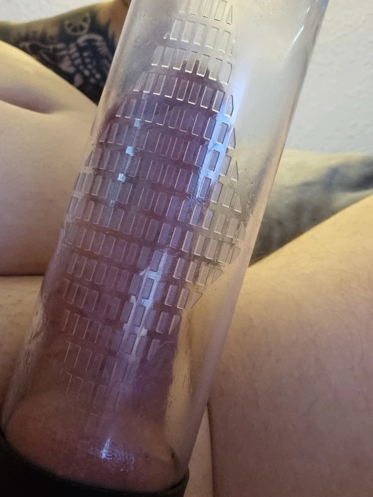 Cockplay at morning #3