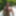 G_Stallion_MIA Free Photos #4