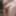 Small ringed dick