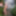 Photo shooting with cum slut Dany Sun in the garden - part 2 #10