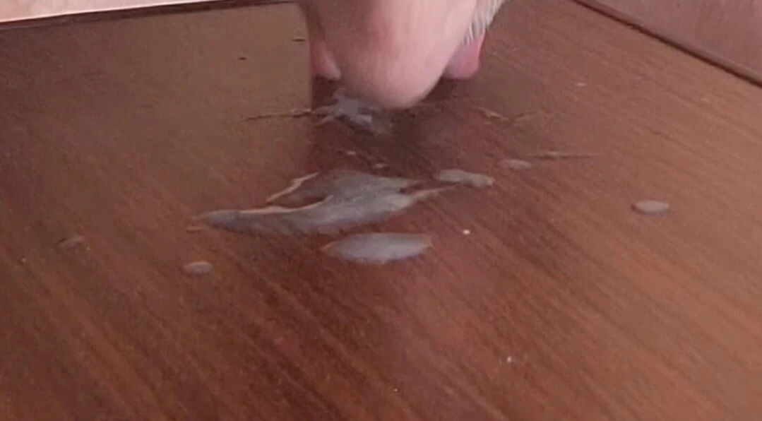Cumming and eating my own cum