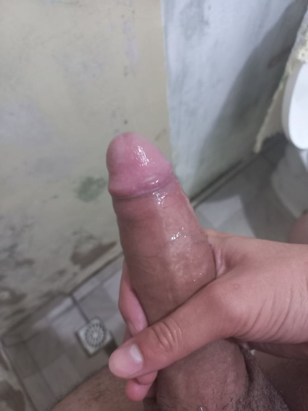 my average dick 