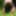 2021 Outdoor fun #14