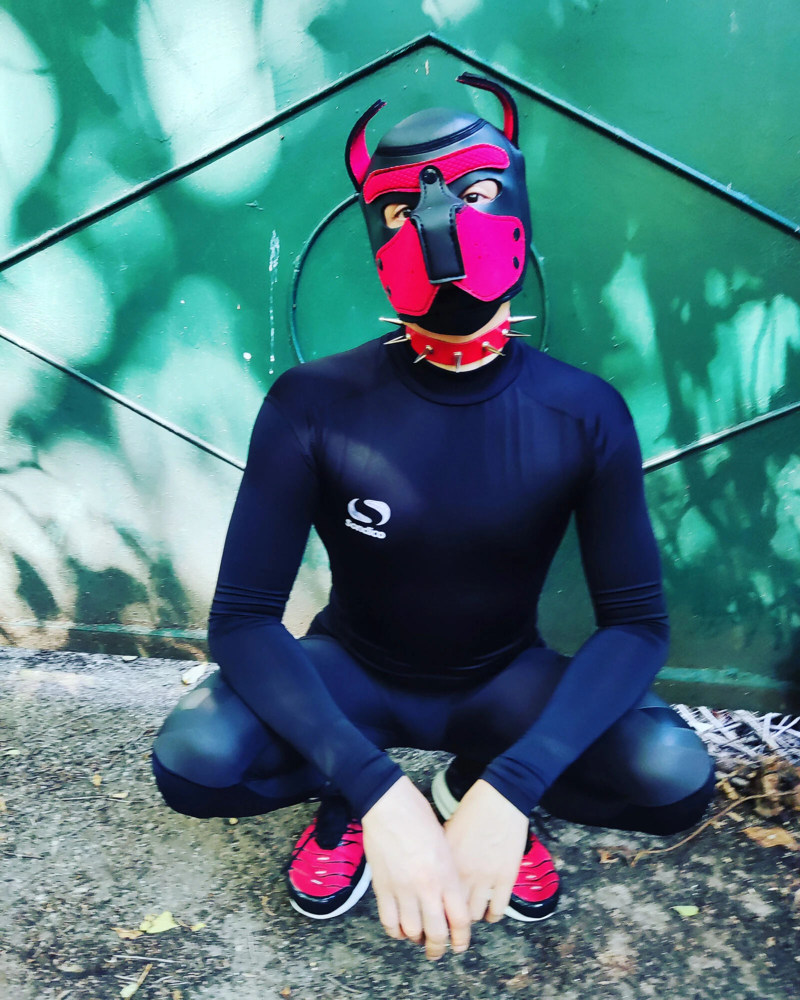 Puppy play  