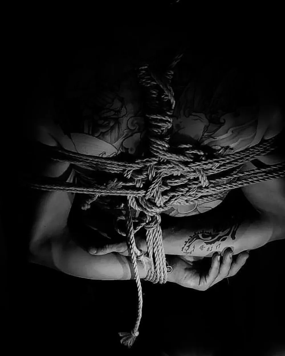 shibari #2