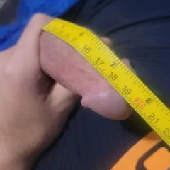 Dick mesarment