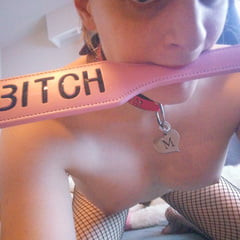 New Pictures pet