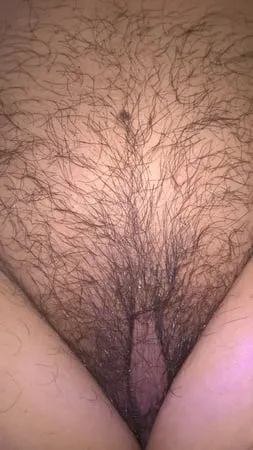 my beautiful hairy wife pubic hair and labia         