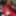 RED MATURE SLUT PLAYING