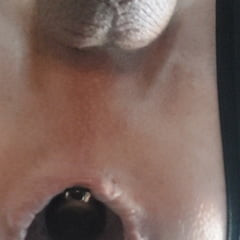 Photo Plug anal Gode 