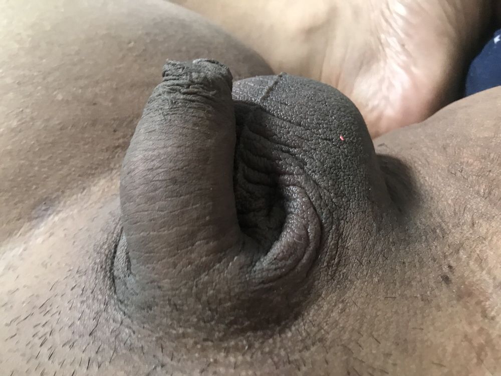 Chubby small dick dildo anal #58