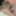 Granny Clara in teen threesome