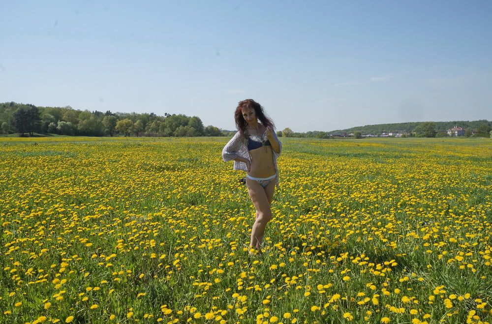 Yellow Meadow #7