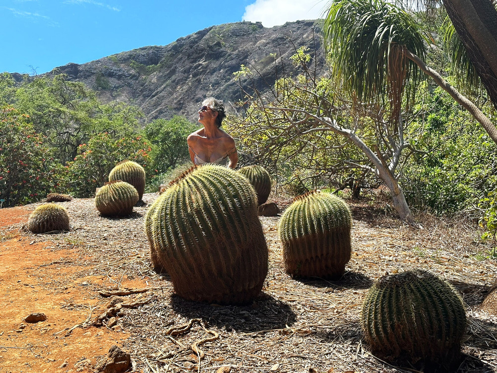 Photos from Hawaii  #59