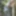 Annabel Miller: oxygen flash in the middle of the forest #5