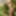 Photo shooting with cum slut Dany Sun in the garden - part 2 #4