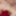 REALTGIRLS: Nikki Jaee, Kimberly Sin&#039;s Threesome with Thadd! #6