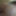 セクシーなバブルバット弱虫