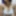 Ücretsiz Lisi_mw11 Fotoğrafları