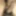 Indian Desi lund big Black cock 