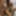 Bisexual students threesome #52