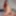 TRANSVR: Please Cum In My Face!