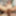 TGIRLSXXX: 2022 YEAR OG DREWCILLA