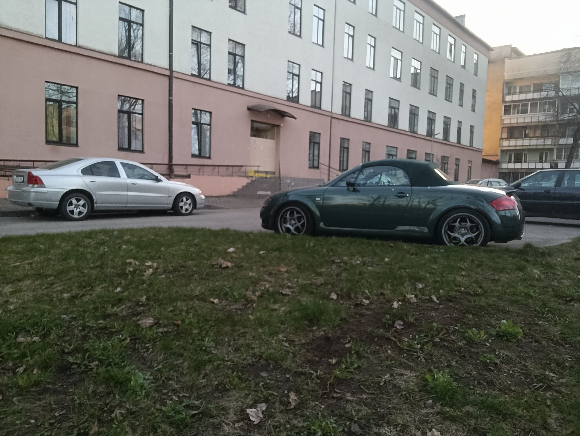 Oliwka