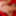 It can’t get any better at GroupSexGames #8