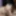 Latina coed Sophia is blowing a geek