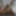 Lizzy Yum orgasm database 2023 #2