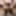 XXL Dildos ruinieren mein Arschloch
