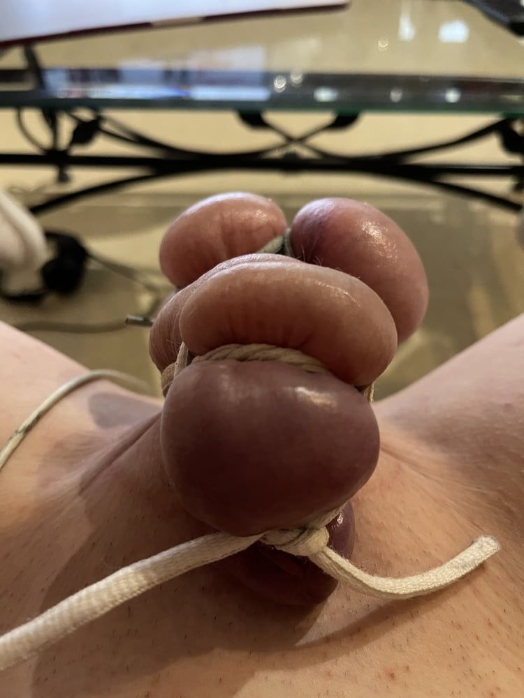 bondage cbt balls and penis saline injection  #6