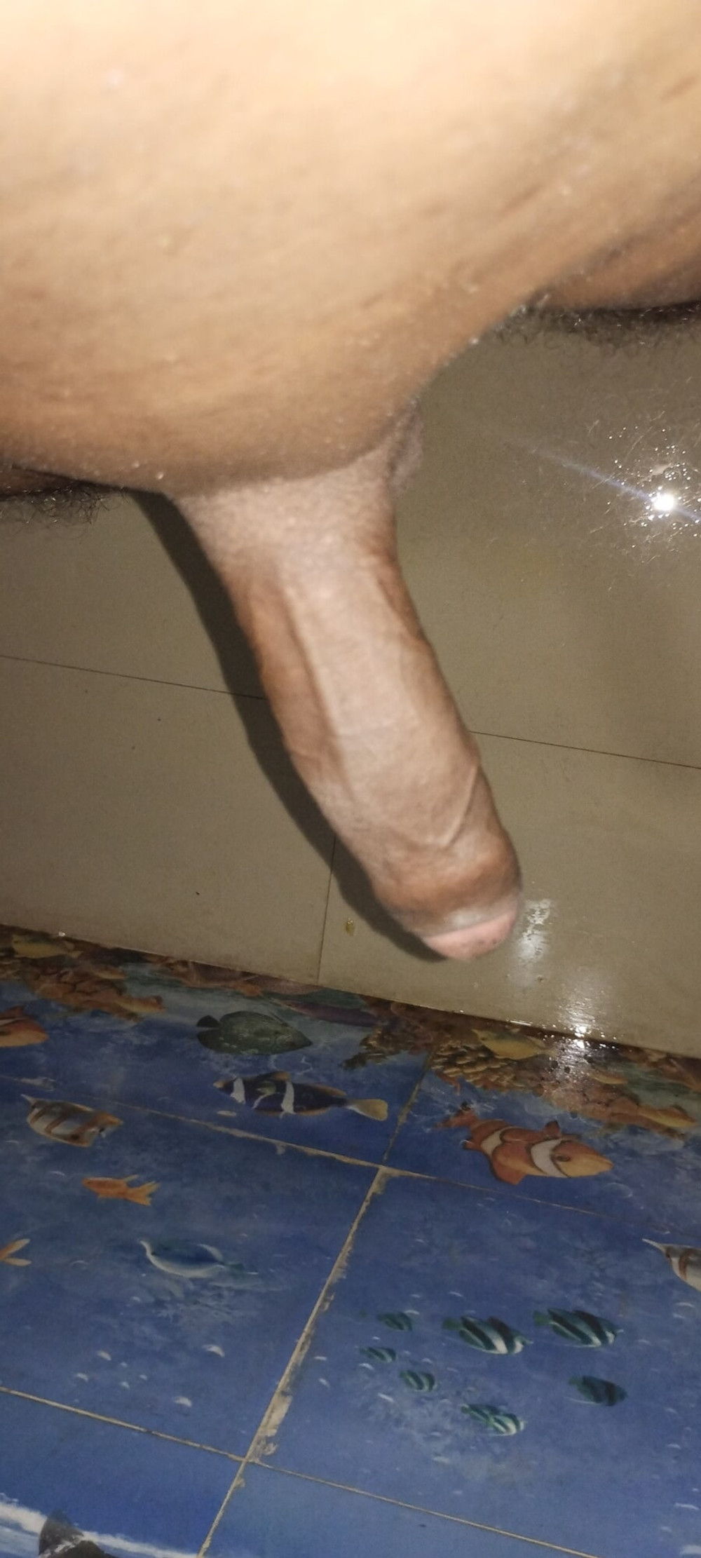 My cock waiting for vagina  #2