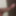 my dick