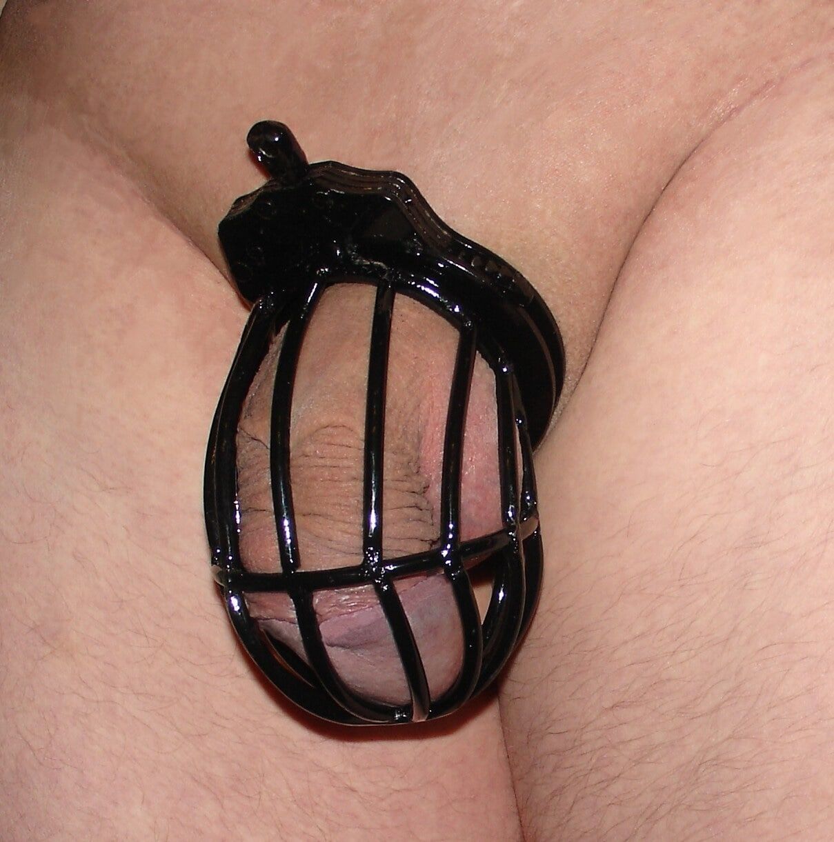 My collection of chastity cages #25