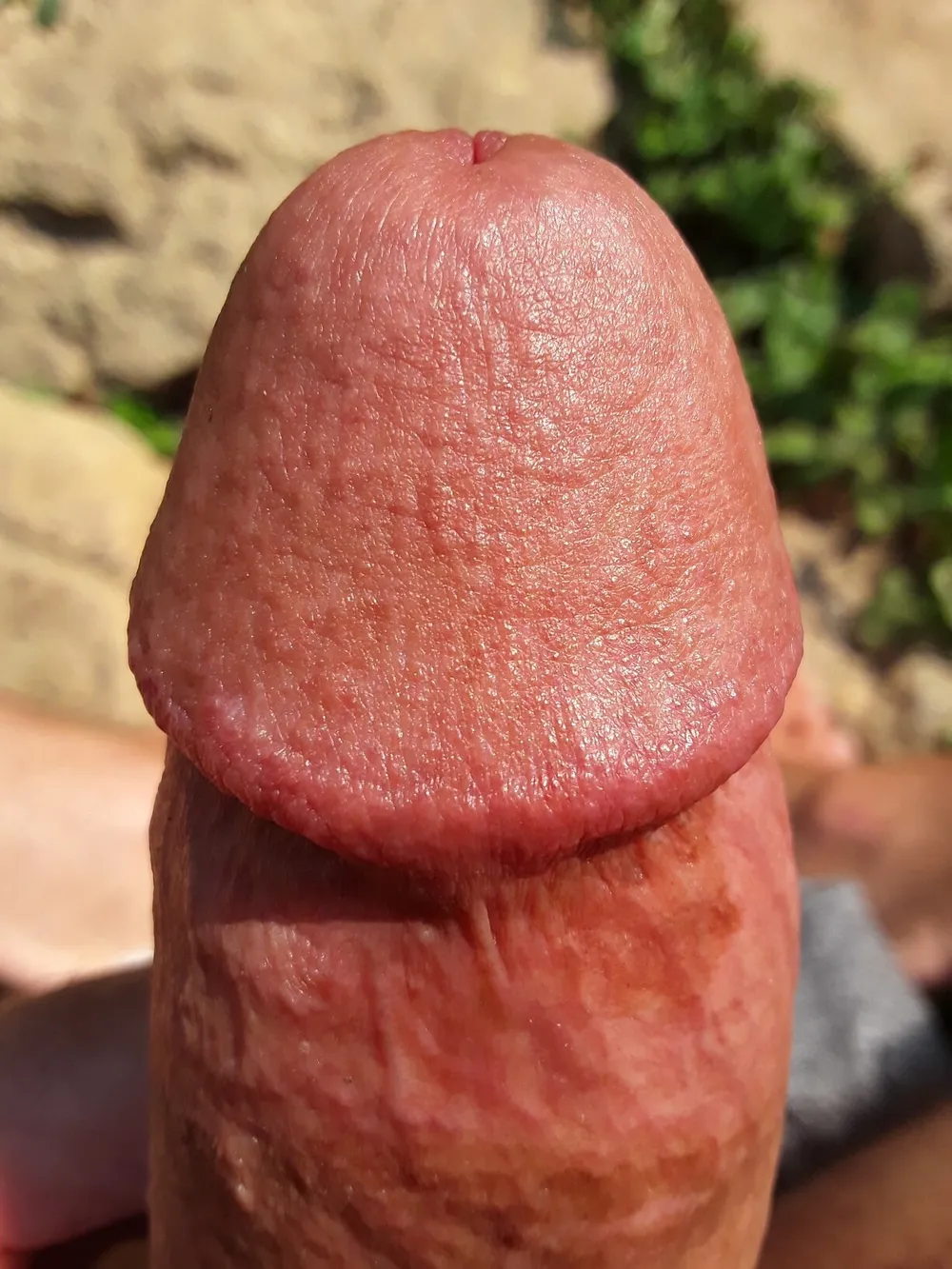 Outdoor Nature Big Cock