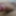 Cock pics