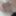 朝の写真