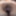 big pussy hairy mature