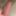 cock