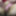 Lacy Poka Dot Panties Hairy American Milf 08