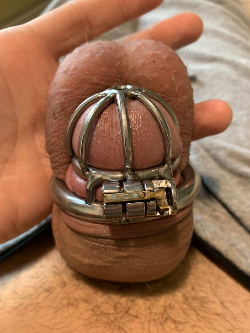 Big cock tiny cage