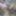 NEW 2020 Pics #11