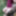 Tit, Ass and Pussy spanking with tree branch #33