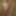 Kinky beauty masturbates in the shower for me #48