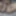 Sex couple Desi fuck video 